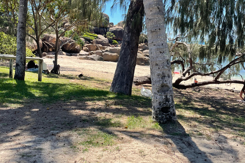 艾尔利海滩：鲍恩海滩与海鲜之旅