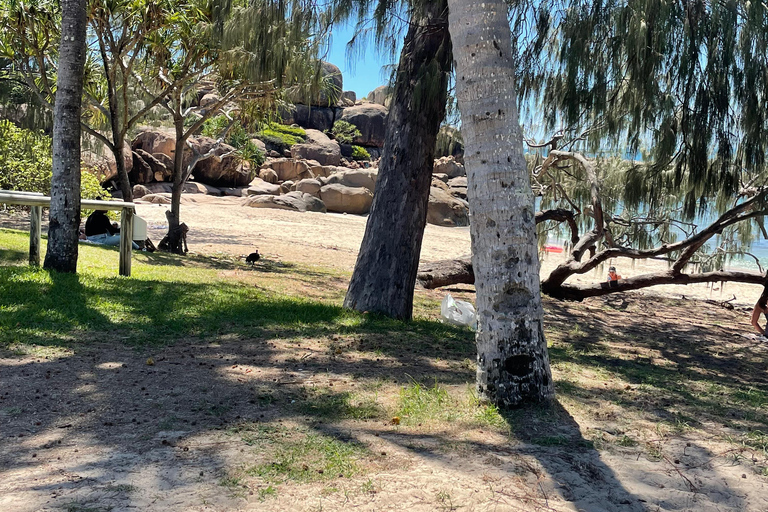 艾尔利海滩：鲍恩海滩与海鲜之旅