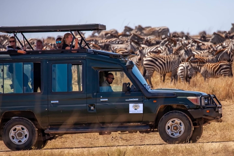 16 Tage Kenia, Tansania, Elefantenland und Großkatzen Safari