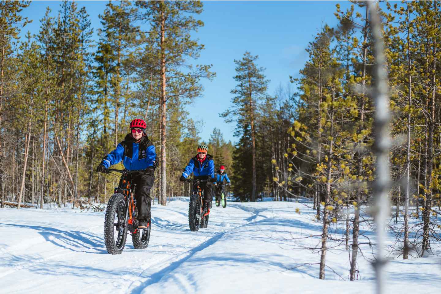 Rovaniemi: Tour de Invierno en eFatbike por el Bosque Nevado