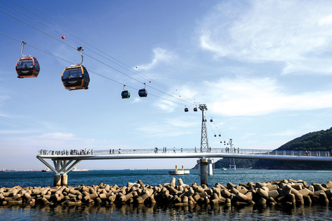 Busan Untold: War History, Hillside Villages & Songdo Cable Shared Group Tour, Depart from Busan Subway Station Exit 3