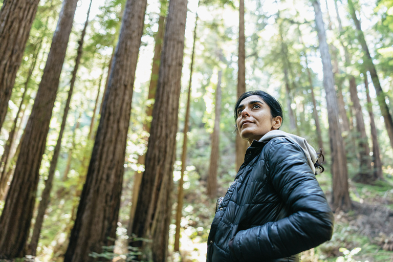 From San Francisco: Guided Muir Woods Tour