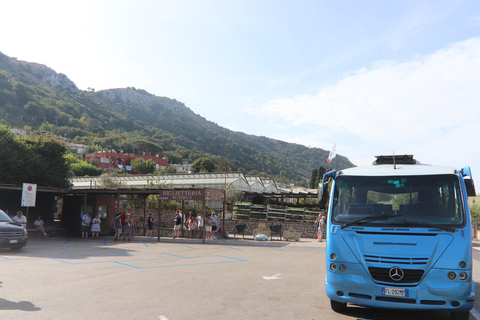 Sorrento: Capri, Blaue Grotte und Augustus Gärten Tagestour