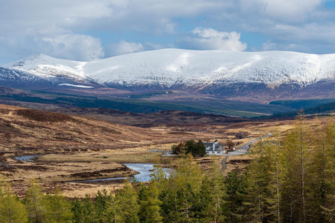 Inverness: Black Isle Tour with Brewery Visit & Tasting
