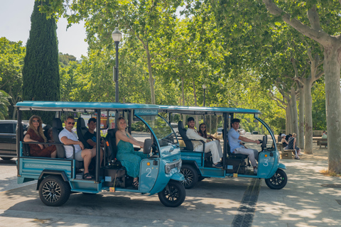 Barcelona: 3-Hour Private Panoramic Tuk-Tuk Tour