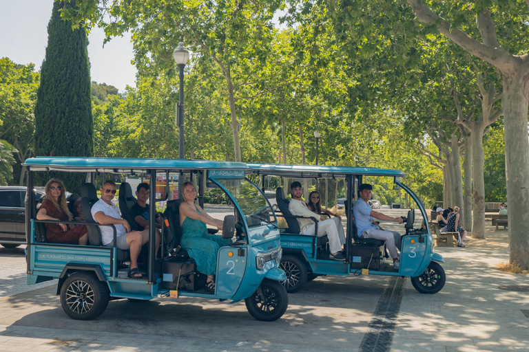 Barcelona: 3-Hour Private Panoramic Tuk-Tuk Tour