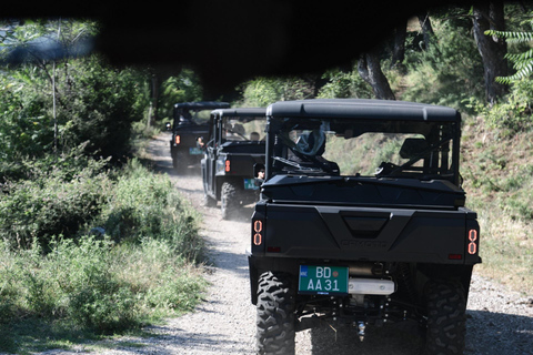 Kotor: Panoramiczna przygoda z terenowym Buggy