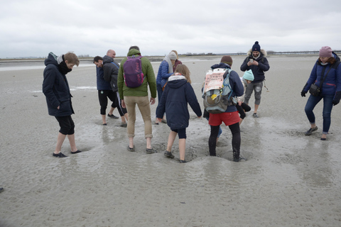 Mont-saint-Michel: begeleide wandeling aan de voet van de Merveille