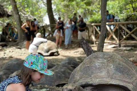 Zanzibar:Visite Privée à l’Île de la Prison avec les Tortues