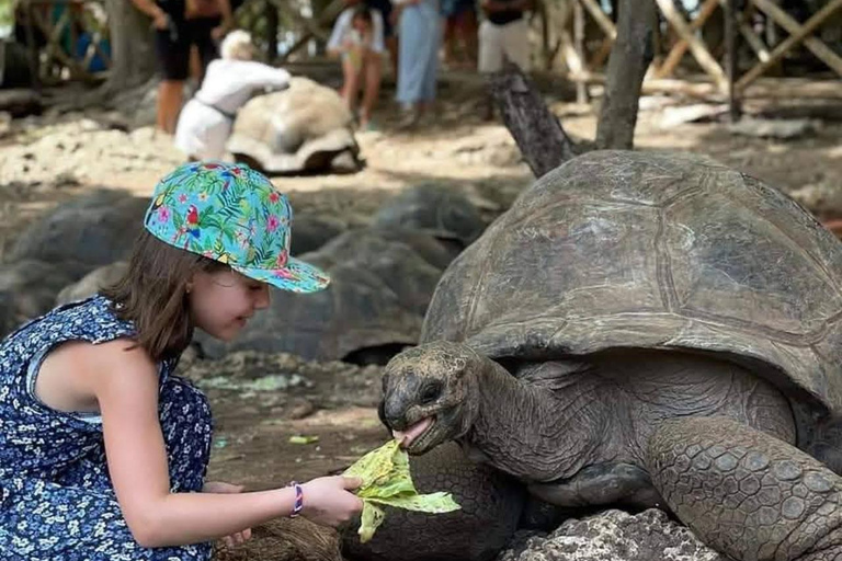 Zanzibar:Visite Privée à l’Île de la Prison avec les Tortues