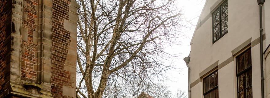 Gouda : visite à pied des temps forts et des trésors cachés