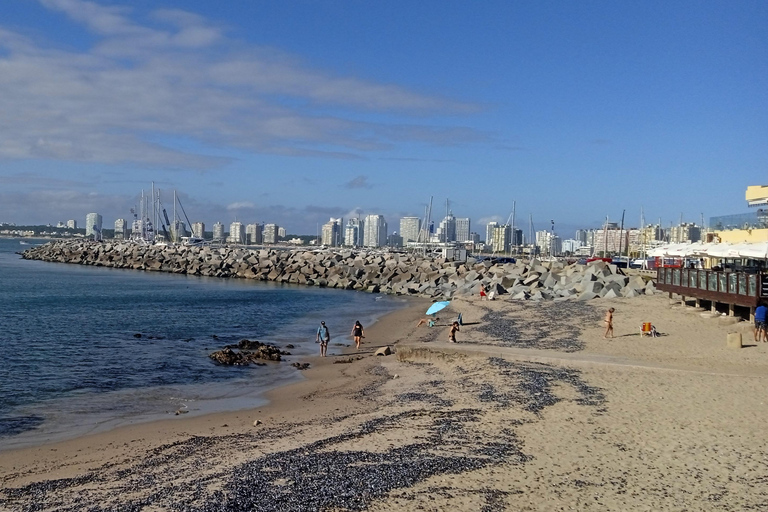 El mejor tour privado &quot;A tu manera&quot; en Punta del Este.