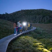 Cradle Mountain Wildlife Spotting after Dark