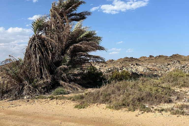 Sterrenlicht aan de kust: een avontuur met een terreinwagen en overnachting op Fazayah BeachSterrenlichtkusten: 4WD-avontuur met overnachting op Fazayah Beach