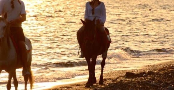 Fethiye: Horseback Riding by the Sea, Botanical Forest, Horseback Riding on the Coast and Beach