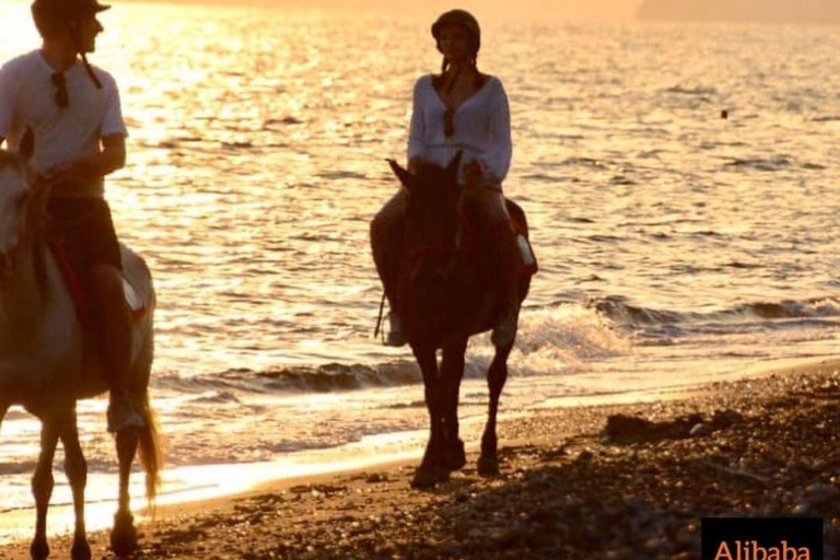 Fethiye: Paseos a caballo por el mar, bosque botánico, costa y playa.Fethiye Equitación en el Mar, Bosque Botánico, Equitación en la Costa y la Playa