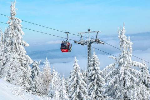 Journée de safari à ski privé avec transport