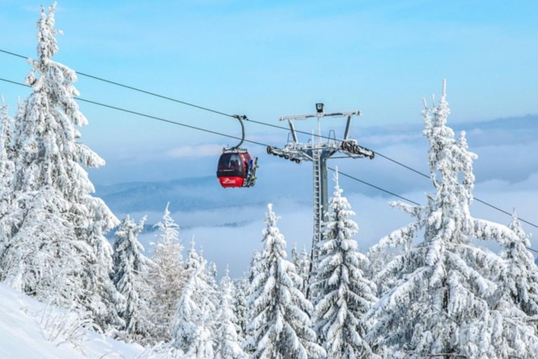 Giornata privata di Ski Safari con trasporto