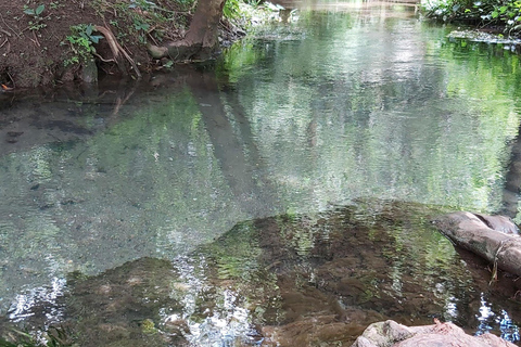 Oaxaca : Visite à vélo du canyon d&#039;Ejutla (1 journée)Prix à partir de 8 personnes