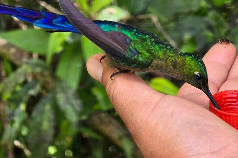 Total Adventure in Mindo - Full day