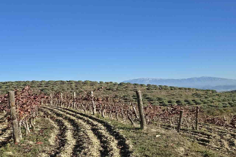 Berat: Private Sunset Tour with Wine and Fruits
