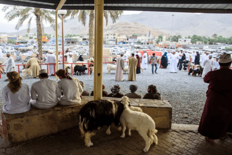 Private Historical Tour - Nizwa Fort, Bahla, Jabreen Castle
