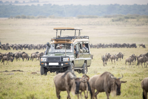 Acampada en grupo de 3 días en Masai Mara con salidas diarias