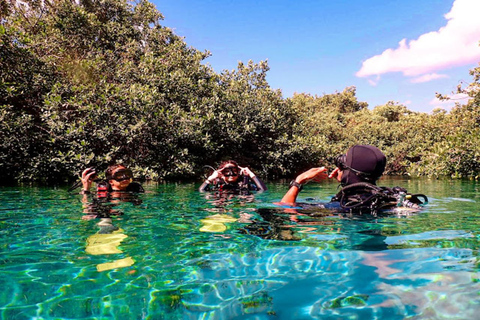 Au départ de Cancun : Plongée avec masque et tuba à Ocean Reef