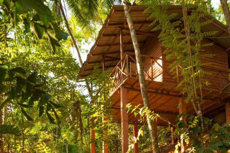 Kandy: Jungle 5 Day Yoga & Nature Retreat 5 Day Yoga & Nature Retreat - Double-sharing