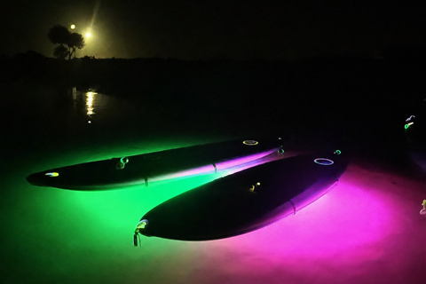 Florida: LED Night Kayak Tour with Comb Jellies Group Tandem Clear Bottom Night Tour
