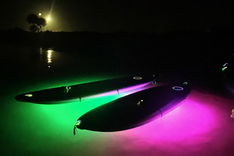Florida: LED Night Kayak Tour with Comb Jellies Group Tandem Clear Bottom Night Tour