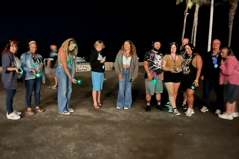 Avalon: Haunted EMF Detection Walking Tour, Age 12 & Up