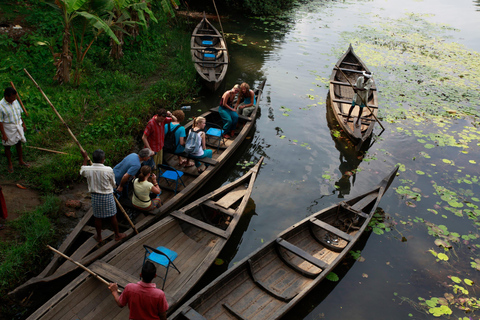 From Kochi: Alleppey Houseboat Cruise with Meals & Transfers