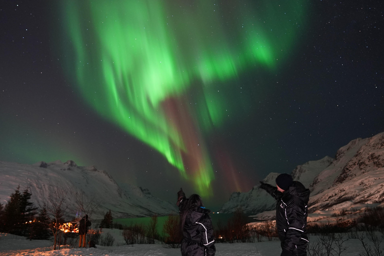 Tromsø: Northern Lights Tour with Free Professional Photos