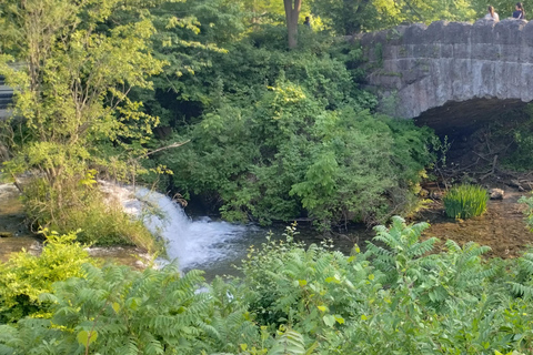 Chutes du Niagara : Visite guidée privée avec promenade en trolley