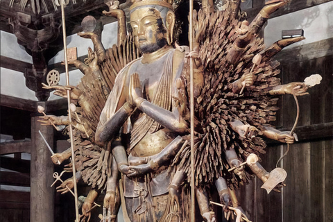 From Osaka/Kyoto/Nara: Customizable Private Tour & Car/Guide