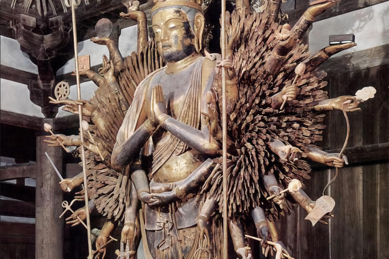 From Osaka/Kyoto/Nara: Customizable Private Tour & Car/Guide