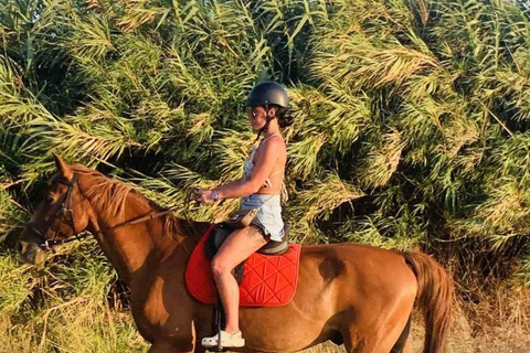 جزيرة رودس: ركوب الخيل على الشاطئ عند غروب الشمس