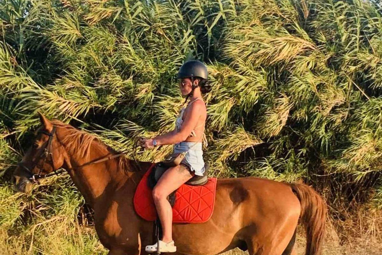 جزيرة رودس: ركوب الخيل على الشاطئ عند غروب الشمس