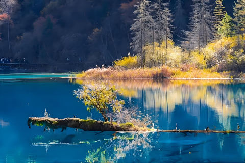 Sichuan: Jiuzhaigou Valley Ticket