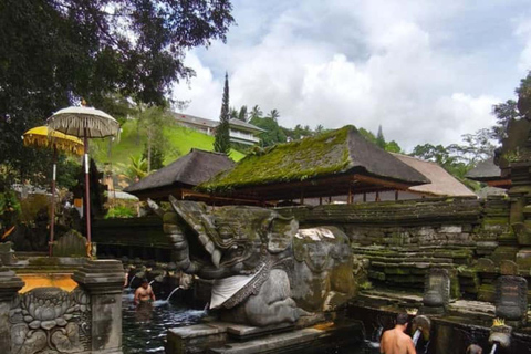 Ubud :Waterfalls, Water Temple & Rice Terrace – Private Tour Ubud: Waterfalls, Rice Terrace water Temple all included