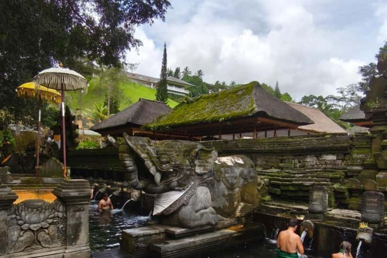 Ubud :Waterfalls, Water Temple & Rice Terrace – Private Tour Ubud: Waterfalls, Rice Terrace water Temple all included