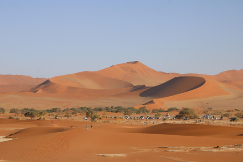 10 Days Taste of Namibia | Auto Tour Camping