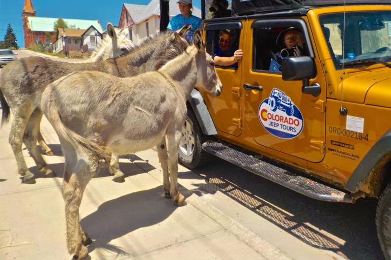 Colorado Jeep Tours - Gold Belt Tour Colorado Jeep Tours - Gold Belt Tour Jeep Tour