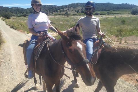 Odkryj wnętrze Walencji na koniu