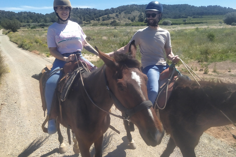 Odkryj wnętrze Walencji na koniu