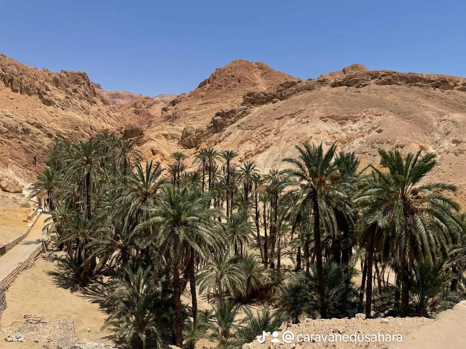 Von Hammamet aus: 2-tägige Sahara-Gruppen-Tour nach Douz