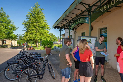 Lyon: Guided E-Bike Tour Lyon: Guided tour by electric bike