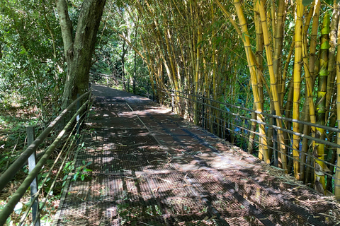 Iguazu: Brazil & Paraguay Full-Day Tour with Itaipu, Monday, and Brazilian Falls Iguazu: Brazil & Paraguay Full-Day Tour with Itaipu, Mondays, and Brazilian Falls