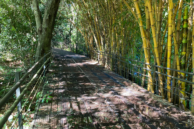 Iguazu: Brazil & Paraguay Full-Day Tour with Itaipu, Monday, and Brazilian Falls Iguazu: Brazil & Paraguay Full-Day Tour with Itaipu, Mondays, and Brazilian Falls